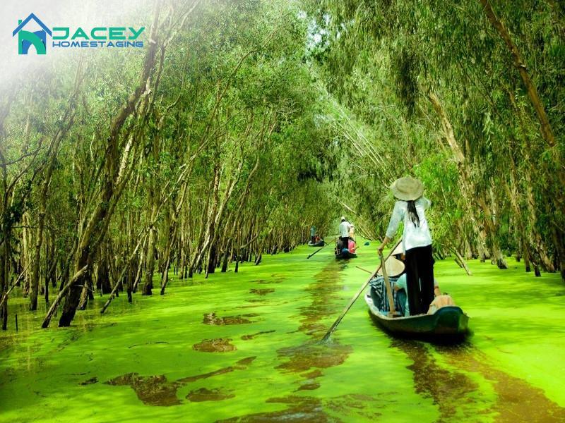 Kết nối miền Tây mùa nước nổi: Gợi ý cho chuyến đi độc đáo và tiết kiệm