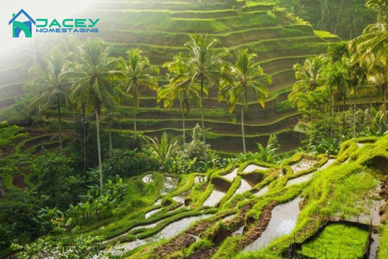 Kết Bài: Khám Phá Bali Tự Túc: Trải Nghiệm Đáng Nhớ Trong Tầm Tay