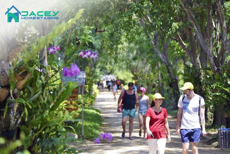 Chơi Gì Ở Vịnh Nha Phu Nha Trang? Những Điểm Đến Không Thể Bỏ Qua