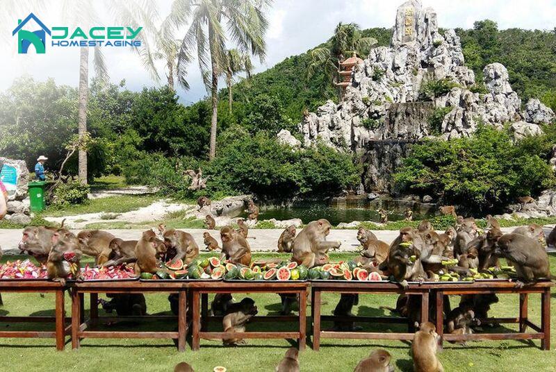 Ăn Gì Ở Vịnh Nha Phu Nha Trang? Thưởng Thức Hải Sản Tươi Ngon