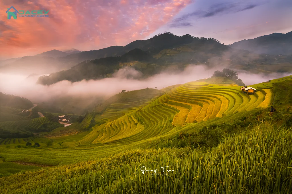 Cảnh đẹp Tây Bắc hùng vĩ, Mù Cang Chải mùa lúa chín vàng rực, điểm check-in hút hồn.
