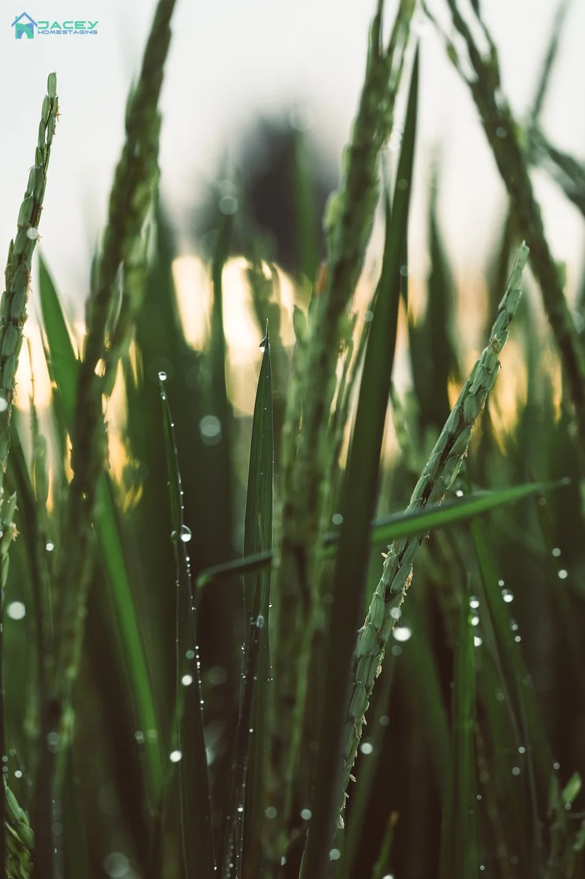 Cảnh quan tuyệt đẹp của Bali với ruộng bậc thang xanh mướt và đền thờ cổ kính