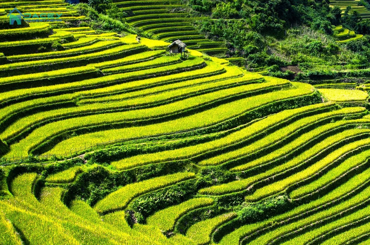 Biển Bali xanh ngắt với những con sóng vỗ bờ, điểm đến lý tưởng cho du lịch tự túc.